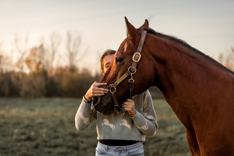Une collation à partager avec son cheval