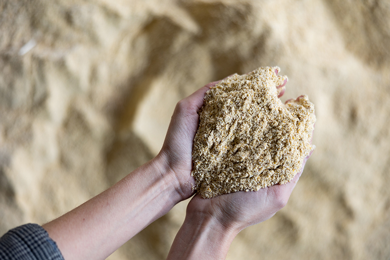 Nutrien: que faire avec l’action?